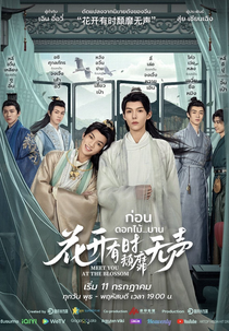 Meet You At The Blossom (花开有时颓靡无声)