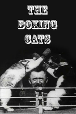 The Boxing Cats (Prof. Welton's) (The Boxing Cats (Prof. Welton's))