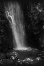 The Mirror of the Mirror's Mirror (The Mirror of the Mirror's Mirror)