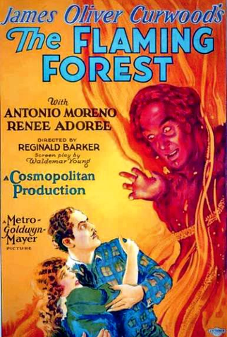 Poster 1 de Filme A Floresta Ardente (1926)