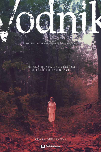 Poster de Franquia Vodník (2019)