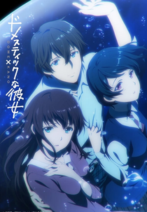 Domestic na Kanojo (Domestic na Kanojo)