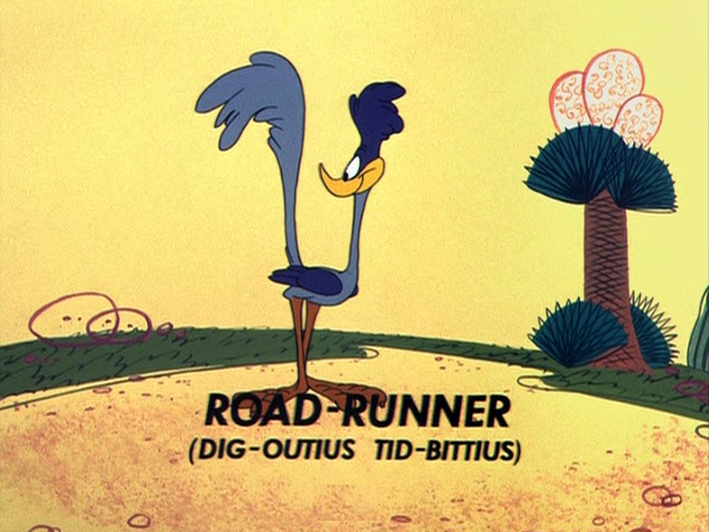 Foto 8 de Lá Vão Eles