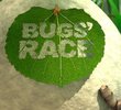 Bugs' Race
