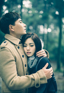 Someone Like You (Ting Chia Hsing Fu (Ting Jia Xing Fu))