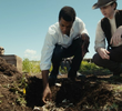 Unearthing the Past