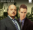 Nova York Contra o Crime (9ª Temporada)