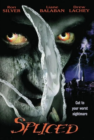 Poster 1 de Filme O Senhor dos Sonhos (2002)