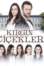 Kirgin Çiçekler (Kırgın Çiçekler)