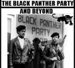 Panteras Negras, Todo Poder ao Povo