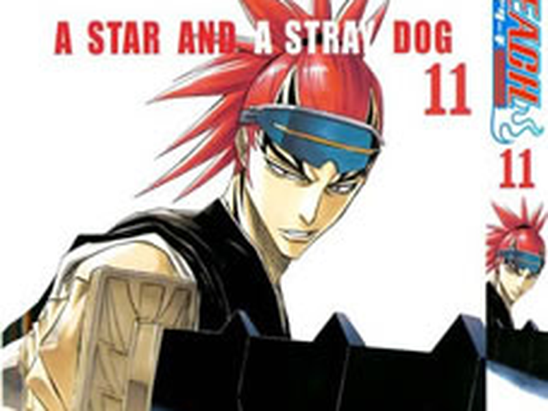 Foto 2 de Bleach (11ª Temporada)