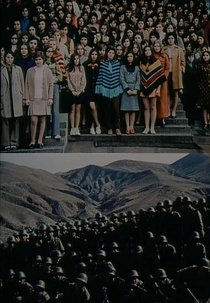 14441 kvadrat (14441 kvadrat)