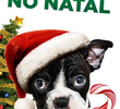 Sozinho No Natal