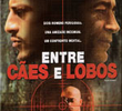 Entre Cães e Lobos