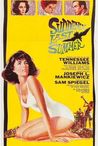 Poster 15 de Filme De Repente, No Último Verão (1959)