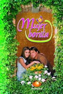 Mulher Bonita - Poster / Capa / Cartaz - Oficial 1