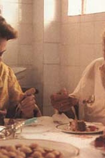 Poster de Curta O Bolo (1995)