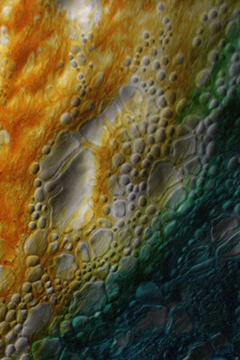 Poster de Curta Limn (2012)