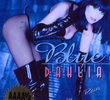 Blue Dahlia