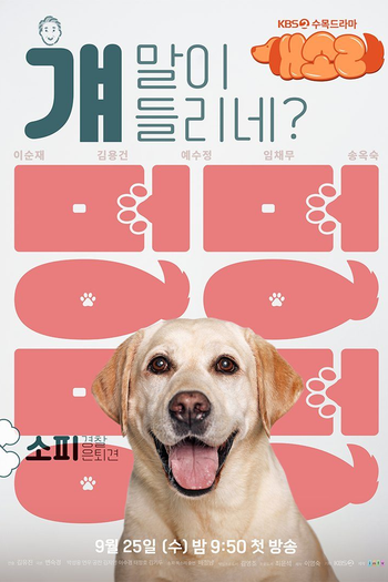  de Série Dog Knows Everything (2024)