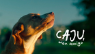 Caju, Meu Amigo | Teaser