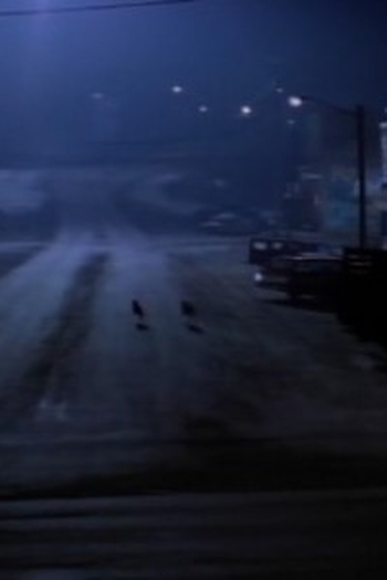 Poster de Episódio Tranquility Base (1995)