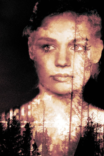 Poster de Filme Detour (2017)