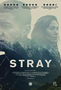 Stray - Poster / Capa / Cartaz - Oficial 1