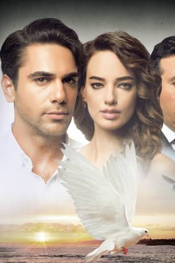 Poster de Série Asas do Amor (2016)