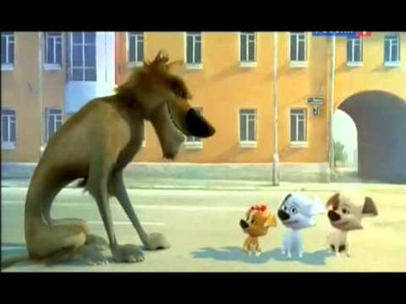 Foto 3 de Cãestronautas