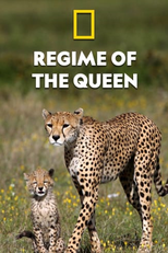 Mamães Felinas: Lições de Sobrevivência (Regime of the Queen)