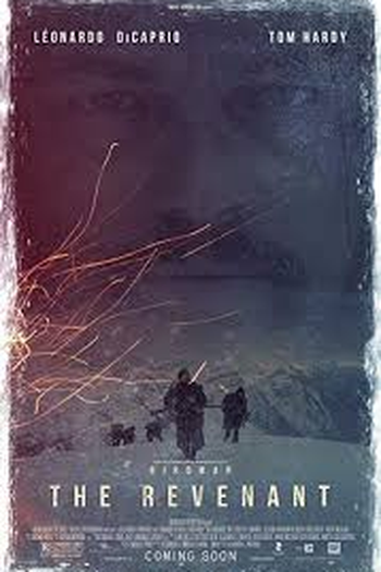  de Filme O Regresso (2015)