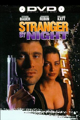 Poster 1 de Filme Um Estranho na Noite (1994)