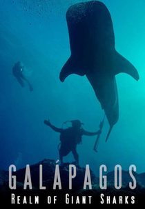 Galápagos: Reino dos Tubarões Gigantes (Galápagos: Realm of Giant Sharks)
