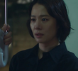 8회