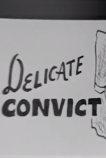 Delicate Convict - Poster / Capa / Cartaz - Oficial 1