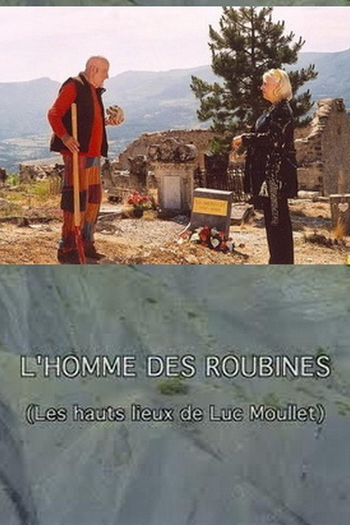 Poster de Filme L'homme des roubines (2001)