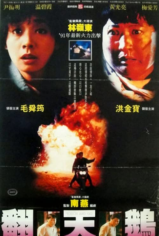 Poster 2 de Filme Hong Kong Sem Lei (1991)