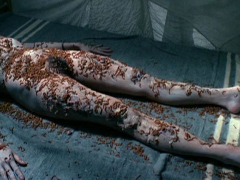 Foto 1 de Corpse Mania