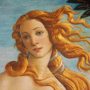Foto de perfil de Luciléia