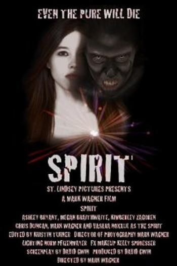Poster de Filme Spirit (2010)