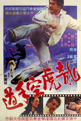 Poster 1 de Filme O Tigre Boxeador (1973)