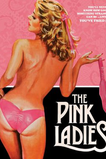 Poster de Filme The Pink Ladies (1979)