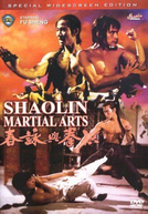 As Artes Marciais de Shaolin