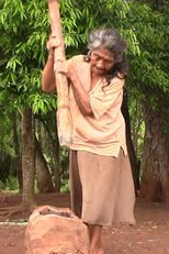 Ava Yvy Vera - A Terra do Povo do Raio (Ava Yvy Vera - A Terra do Povo do Raio)