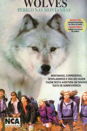  de Filme  Perigo nas Montanhas (1993)