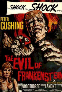 O Monstro de Frankenstein - Poster / Capa / Cartaz - Oficial 1