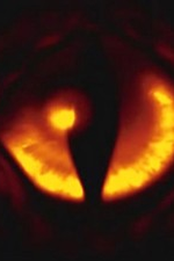 Poster de Episódio Alien Faces (2008)