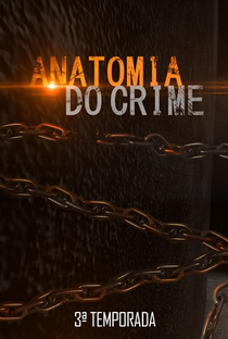 Anatomia do Crime (3ª Temporada) - Poster / Capa / Cartaz - Oficial 1