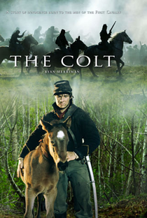The Colt - Poster / Capa / Cartaz - Oficial 1